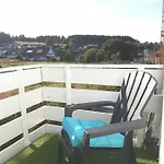 Die Zwei Loewen